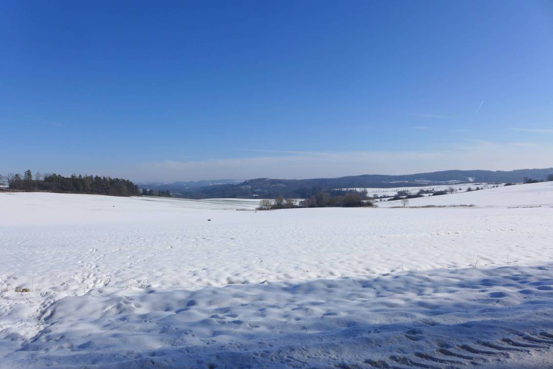 2021-02-01  Není Špulka jako špulka  W016