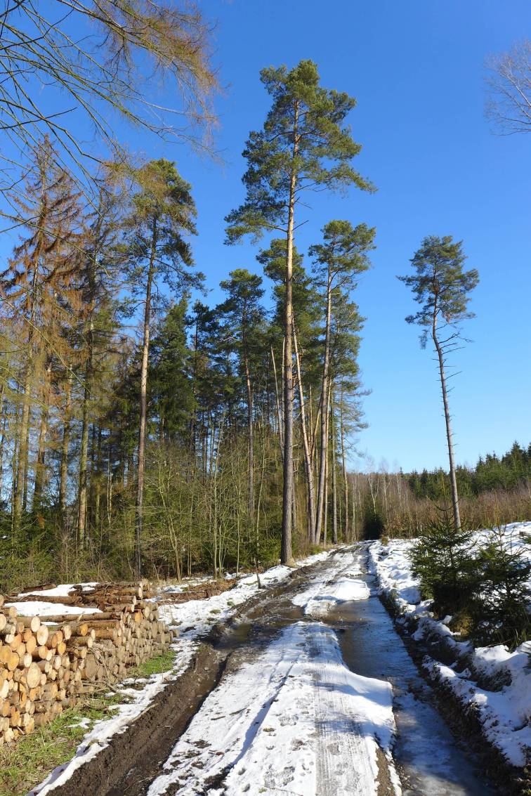 2021-02-01  Není Špulka jako špulka  W021