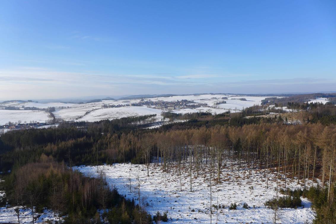 2021-02-01  Není Špulka jako špulka  W046