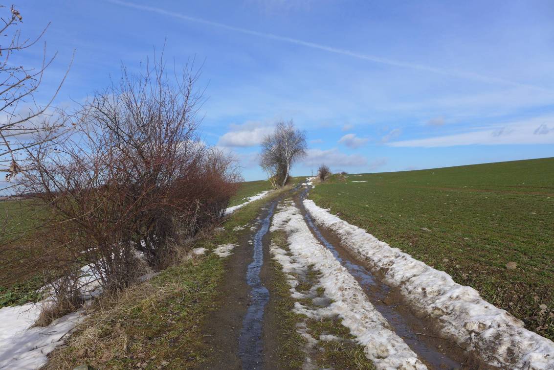 2021-02-19  S Mikešem za velrybou  W023