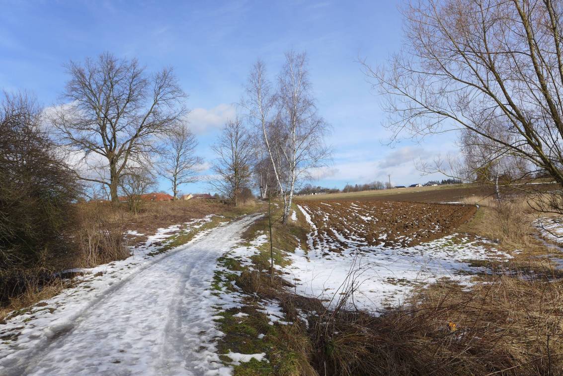 2021-02-19  S Mikešem za velrybou  W025