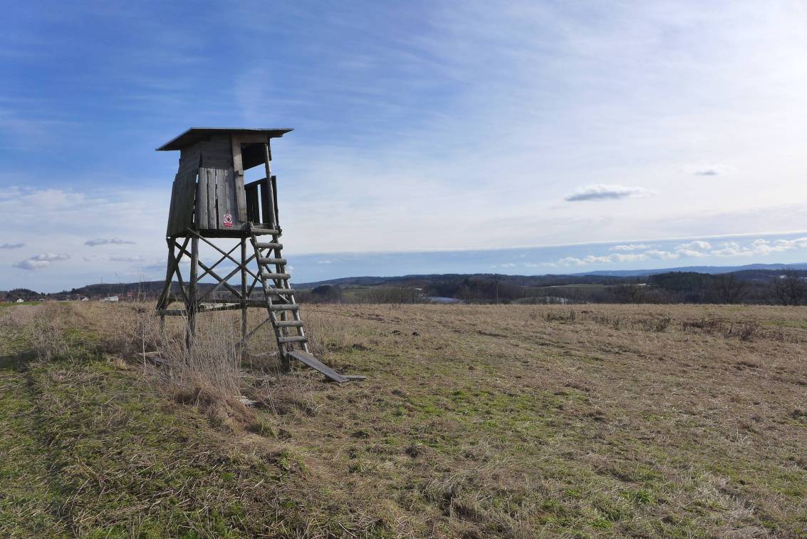 2021-02-19  S Mikešem za velrybou  W028