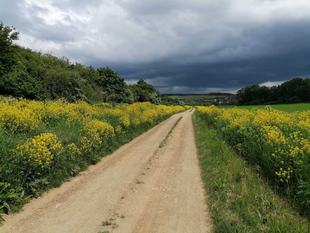 2021-05-29  Za rohatým kovářem  028