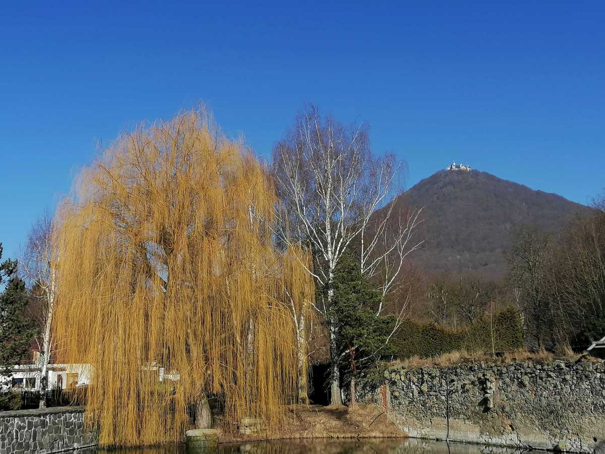 2022-02-14  Sněhuláci na Milešovce  W009