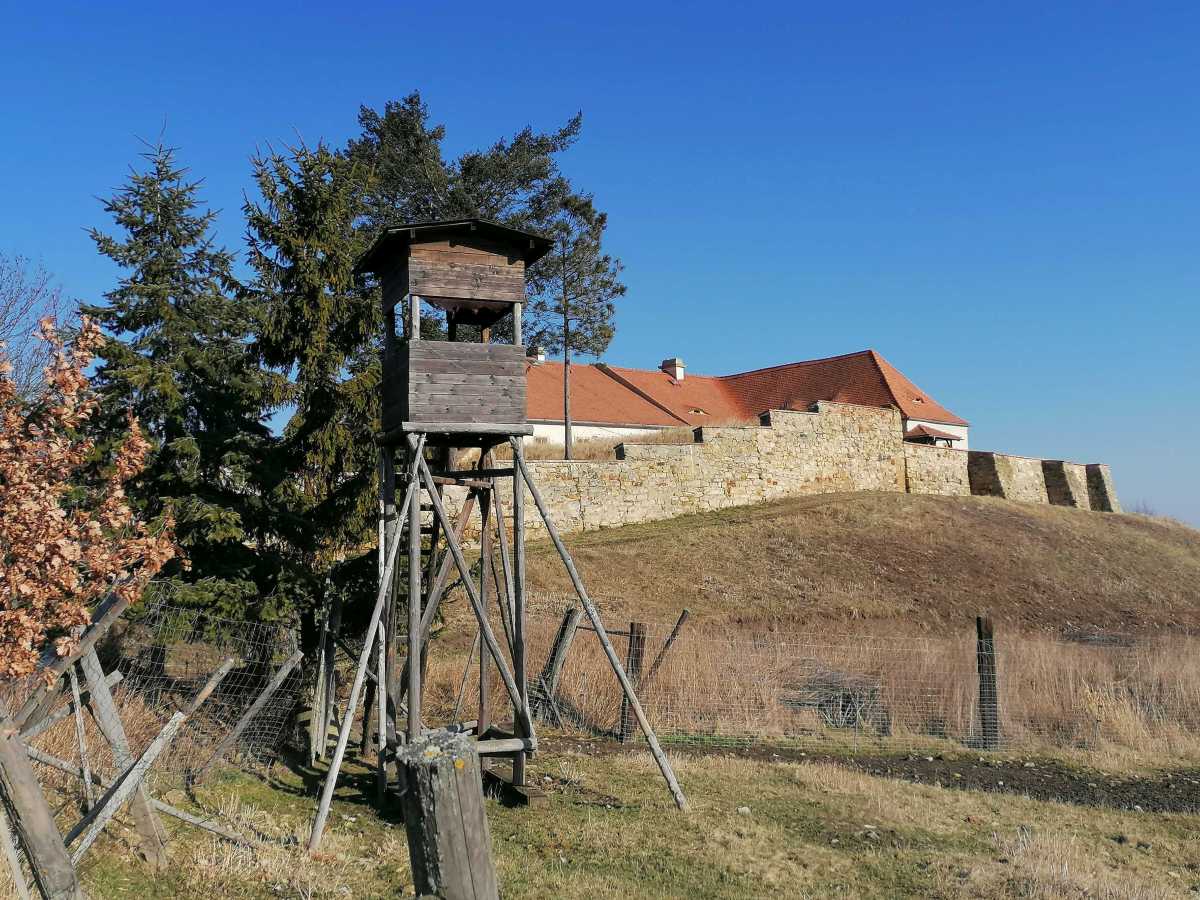 2022-02-14  Sněhuláci na Milešovce  W029