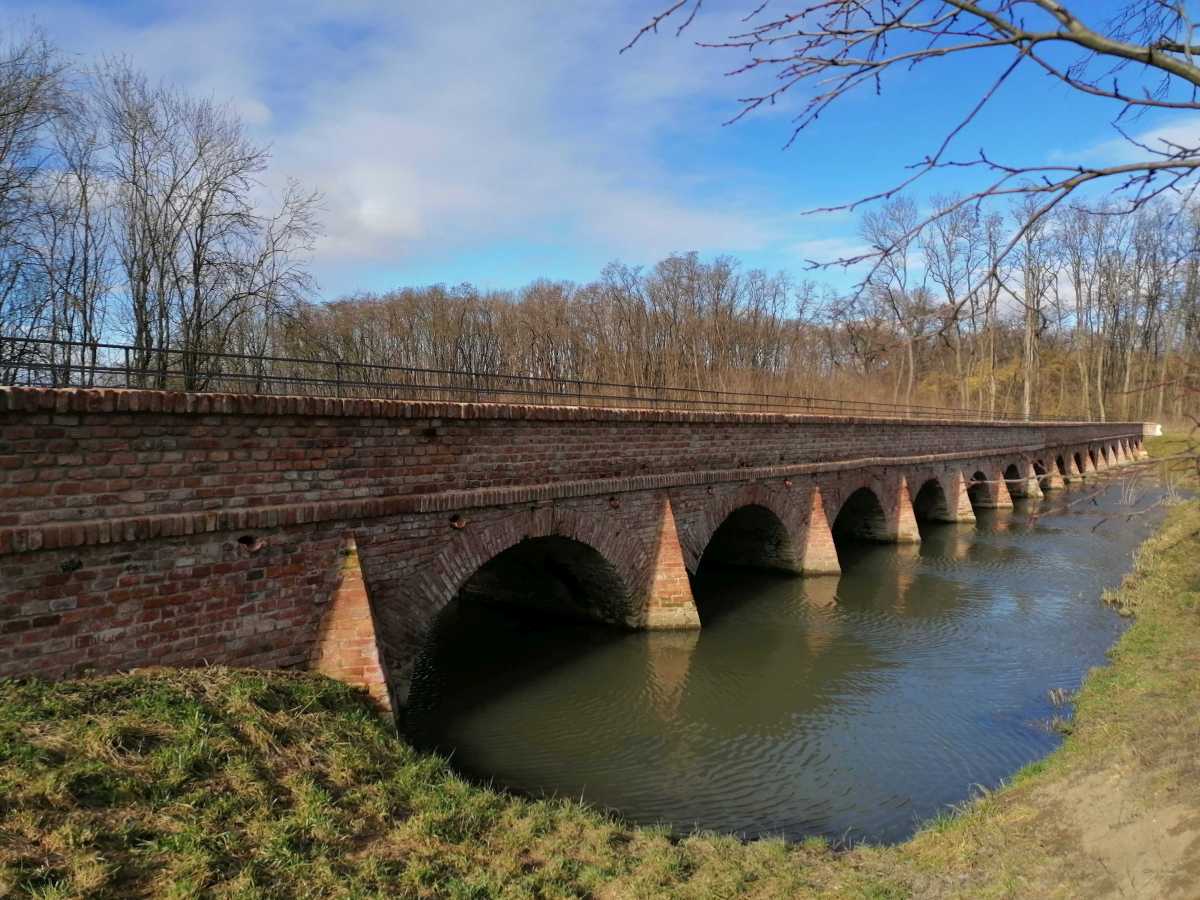 2022-02-09  Jižní Morava  W011
