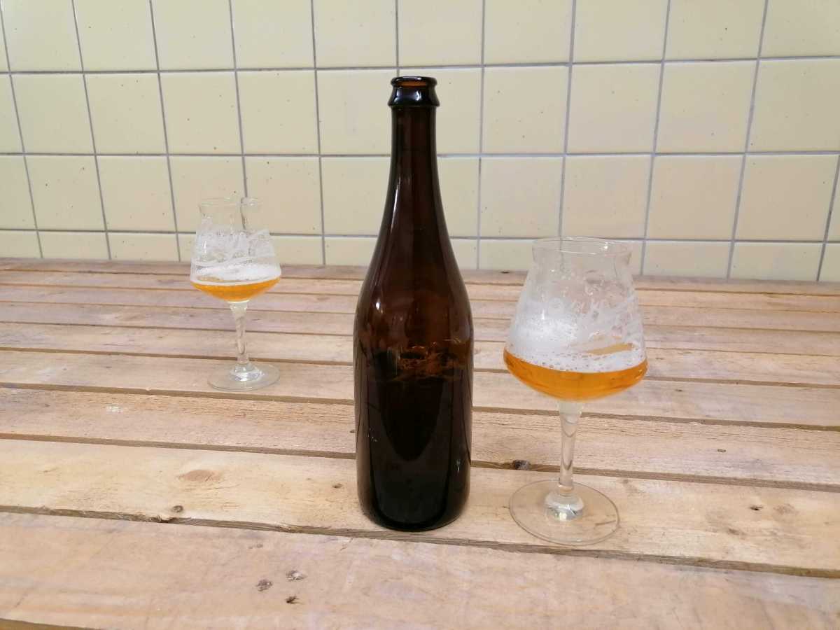 2022-02-10  Jižní Morava  W003