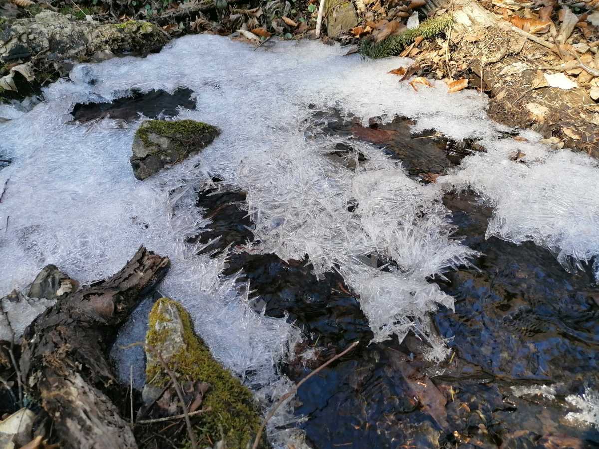 2022-03-13  Křivoklátský okruh  W009