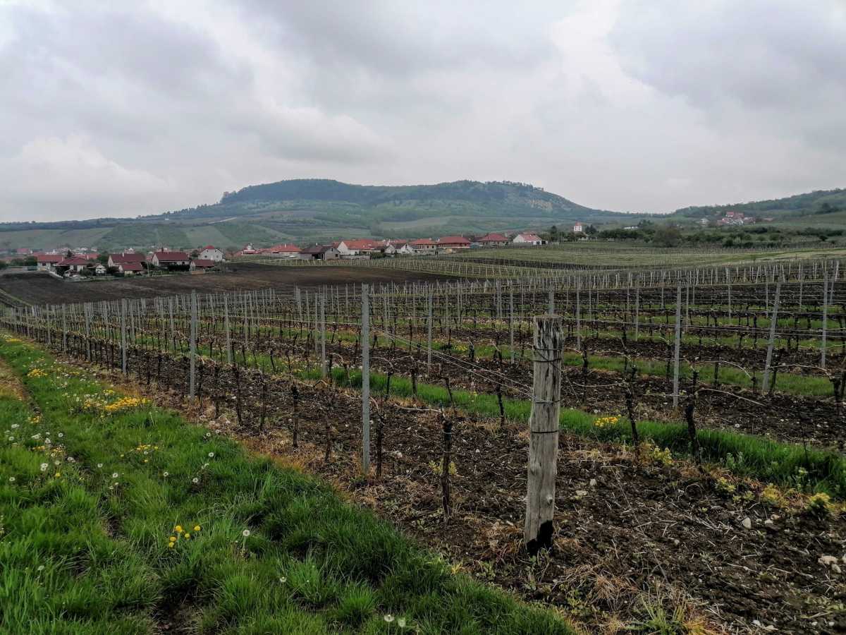 2022-05-04  Mikulovsko  W096