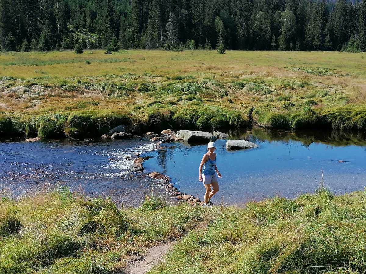 2022-07-28  Šumava 2022  W004