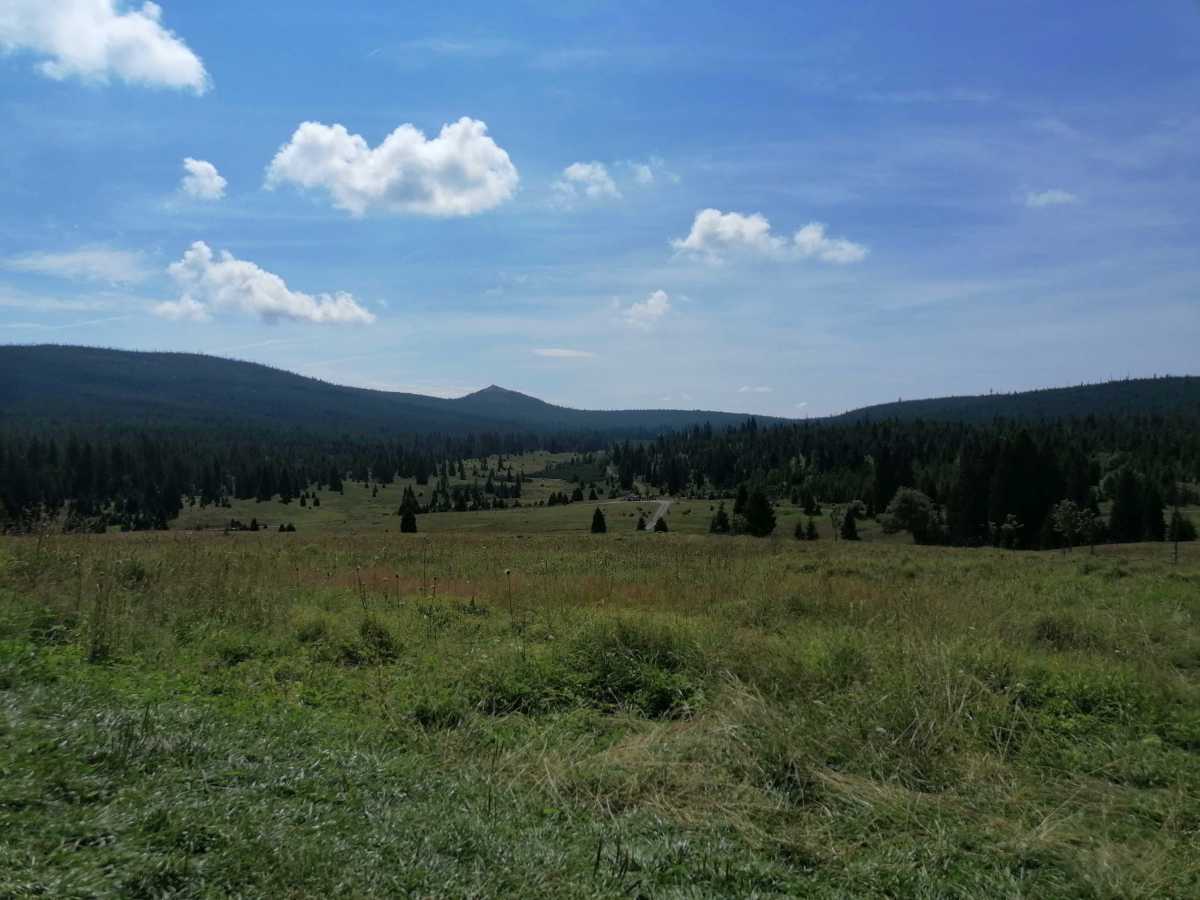 2022-07-29  Šumava 2022  W006