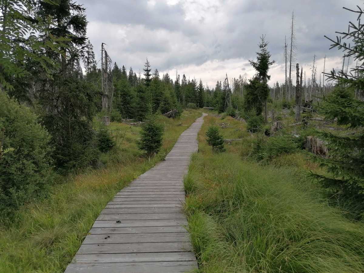 2022-07-29  Šumava 2022  W009