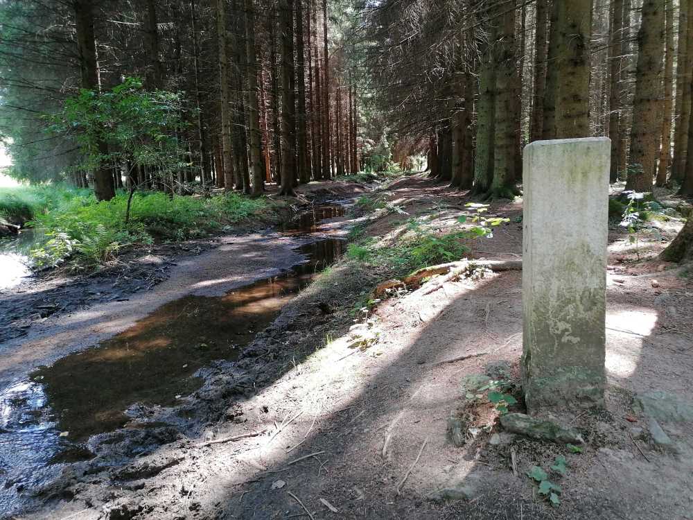 2022-08-15  Novohradky  W015