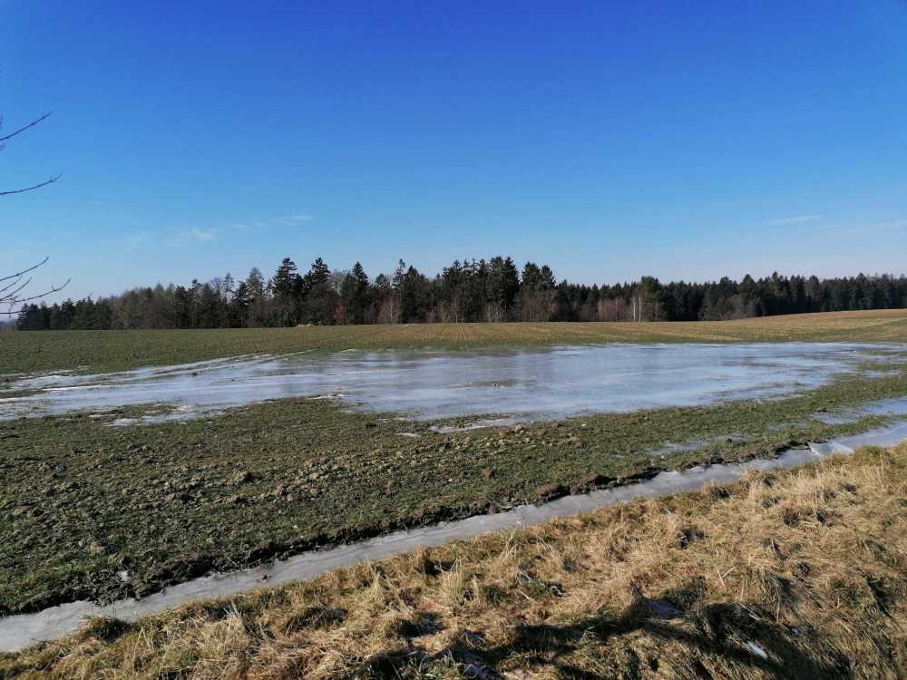 2023-02-10  Od Žižky do Budějic  W012