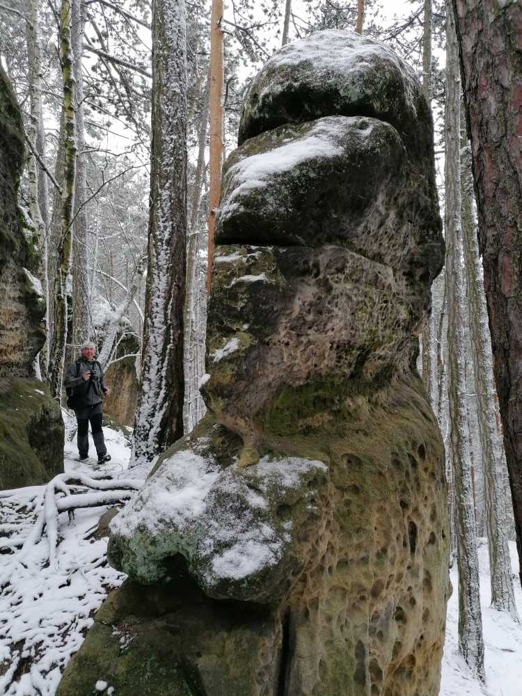 2023-03-11  Pokličky pod sněhem  W021