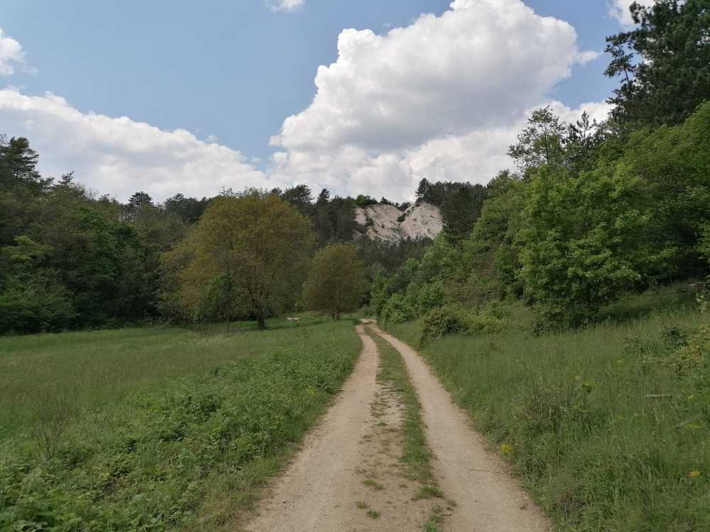 2023-05-21  Staří tuři  W014