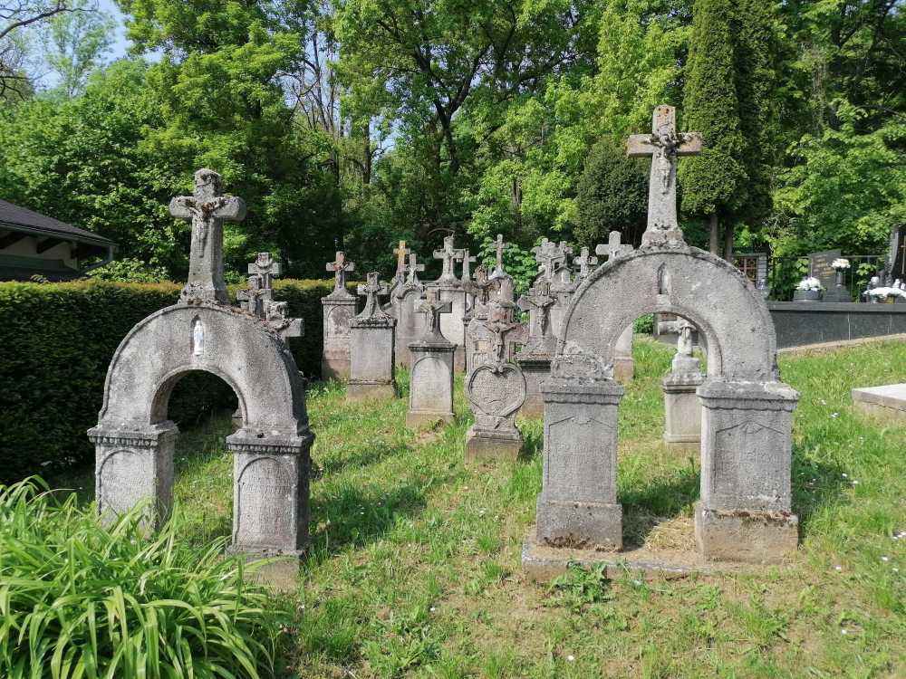 2023-05-22  Staří tuři  W006