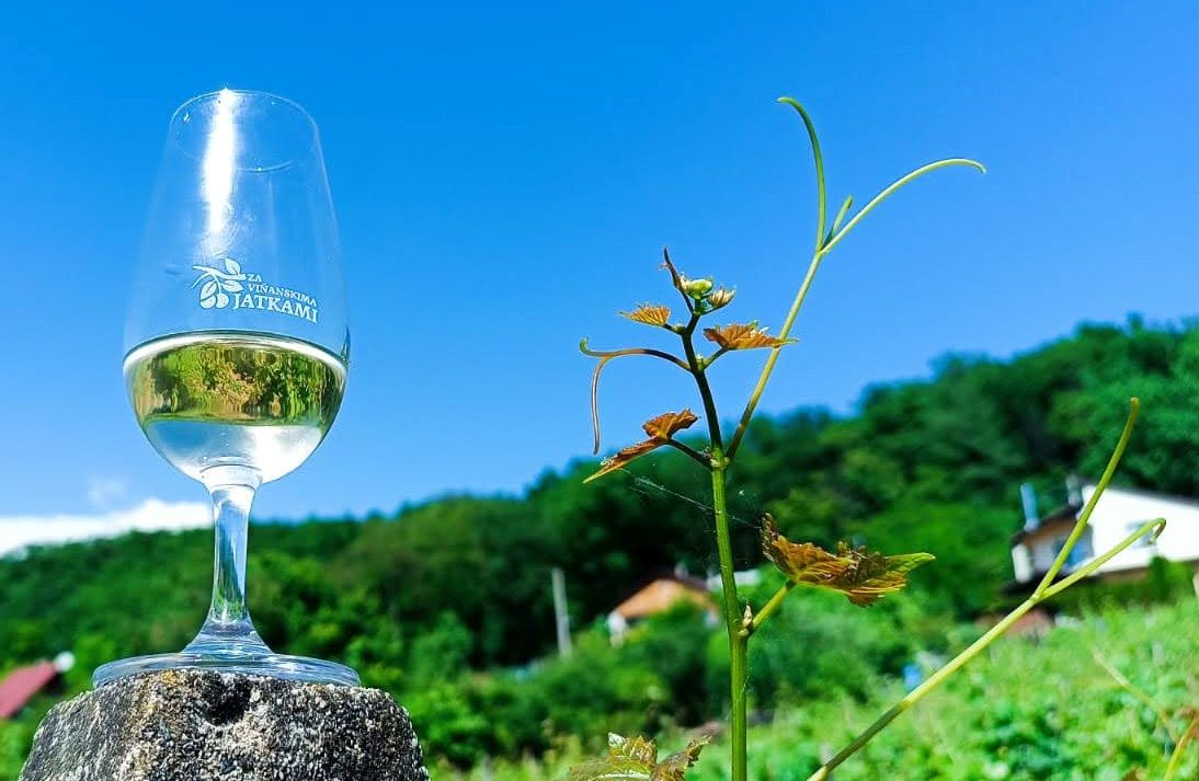 2024-05-25  Šašíci na Tokaji  W018