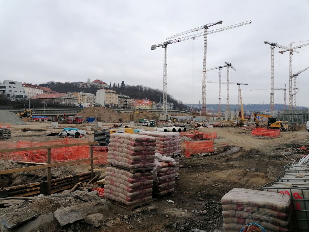 2025-03-23  Fialková svatba  W001