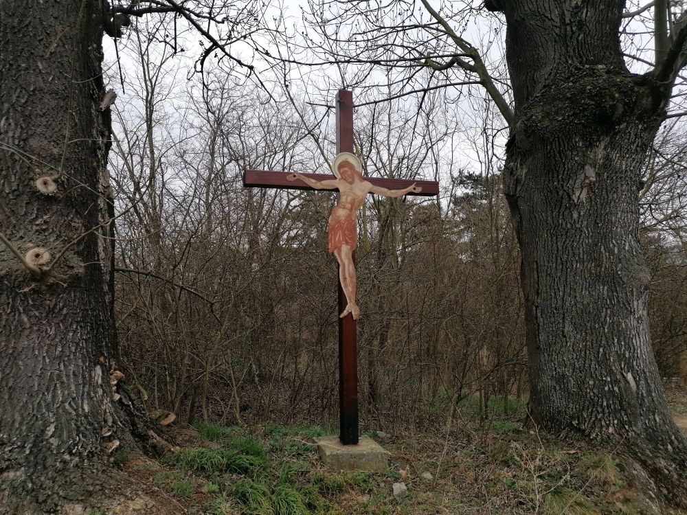 2025-03-23  Fialková svatba  W004