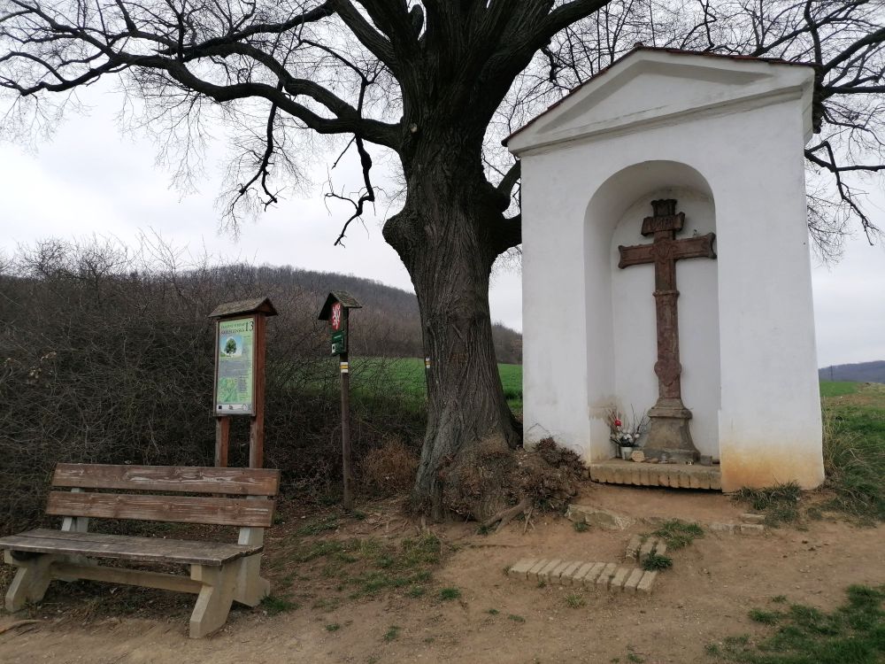 2025-03-23  Fialková svatba  W005