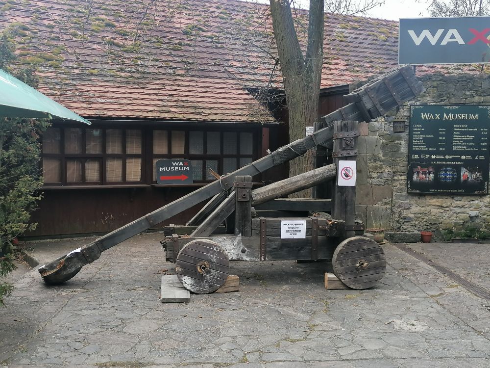 2025-03-23  Fialková svatba  W013
