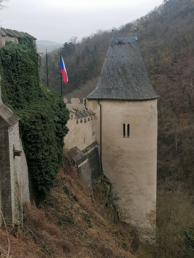 2025-03-23  Fialková svatba  W014