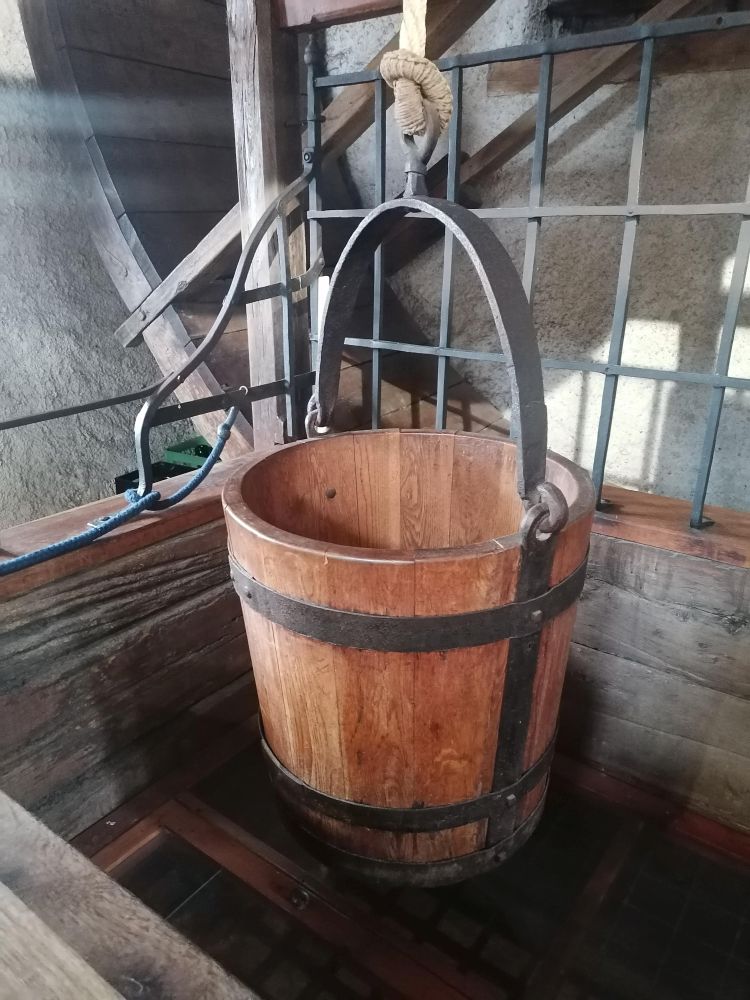 2025-03-23  Fialková svatba  W015