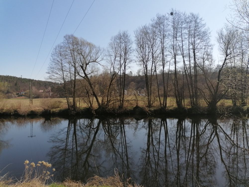 2025-04-04  Pojizeří  W010