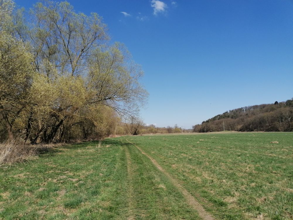 2025-04-04  Pojizeří  W020