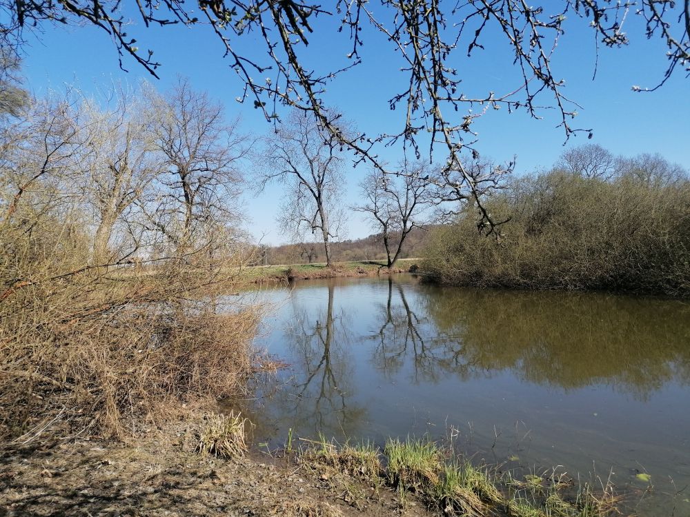 2025-04-04  Pojizeří  W027