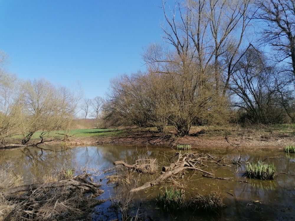2025-04-04  Pojizeří  W028