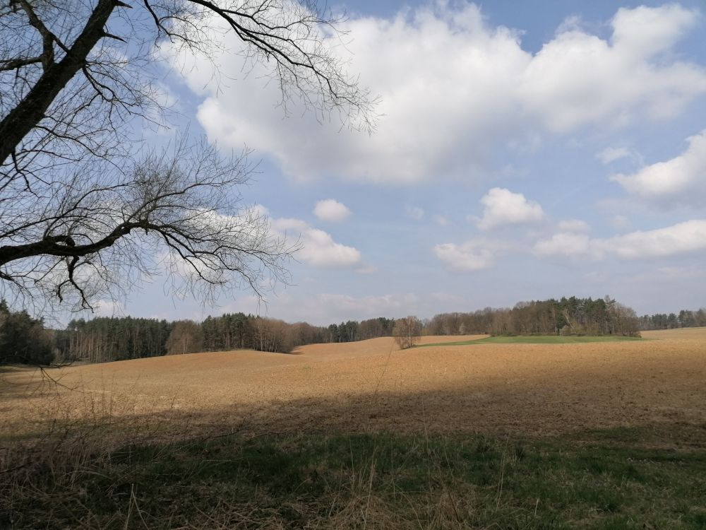 2025-04-12  Vítání jara 2025  W030
