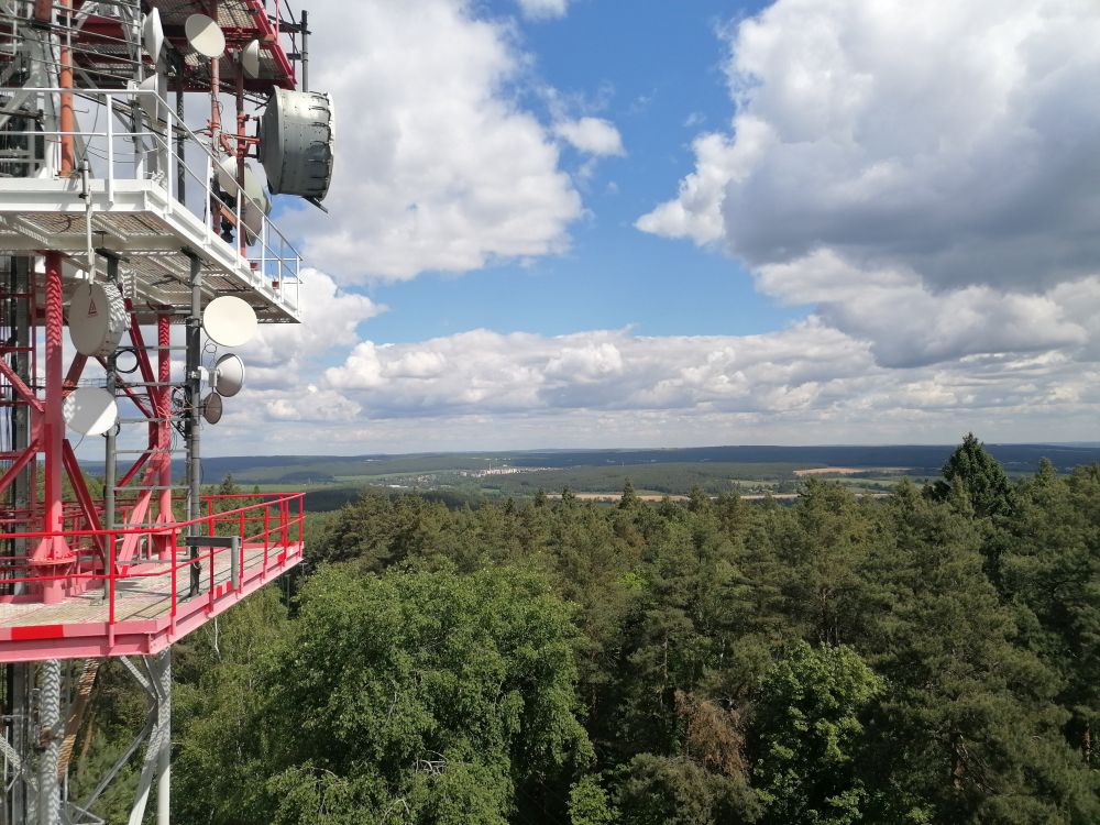 2025-05-17  Domovarnický Krkavec  W013