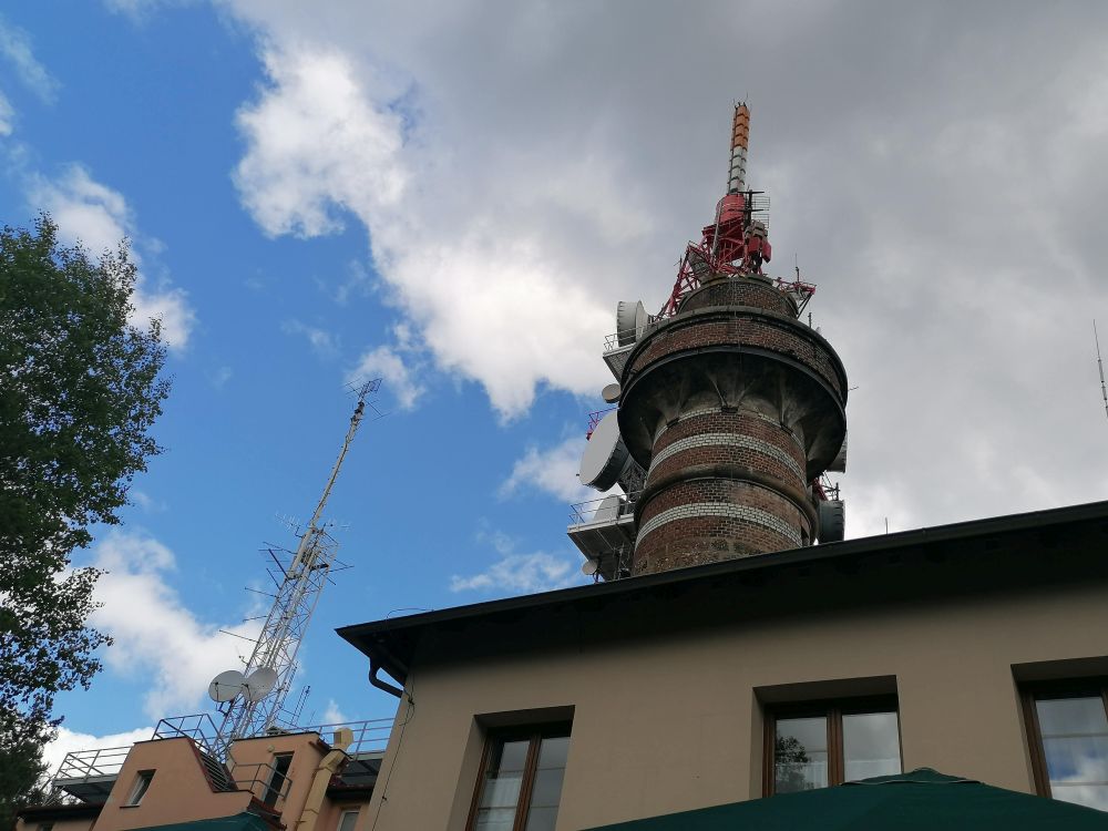 2025-05-17  Domovarnický Krkavec  W019