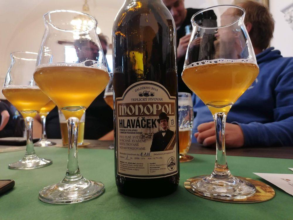 2025-05-17  Domovarnický Krkavec  W036