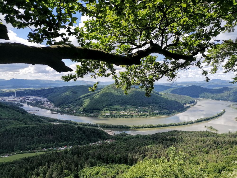 2025-05-24  Medvědáři na Súlově  W009