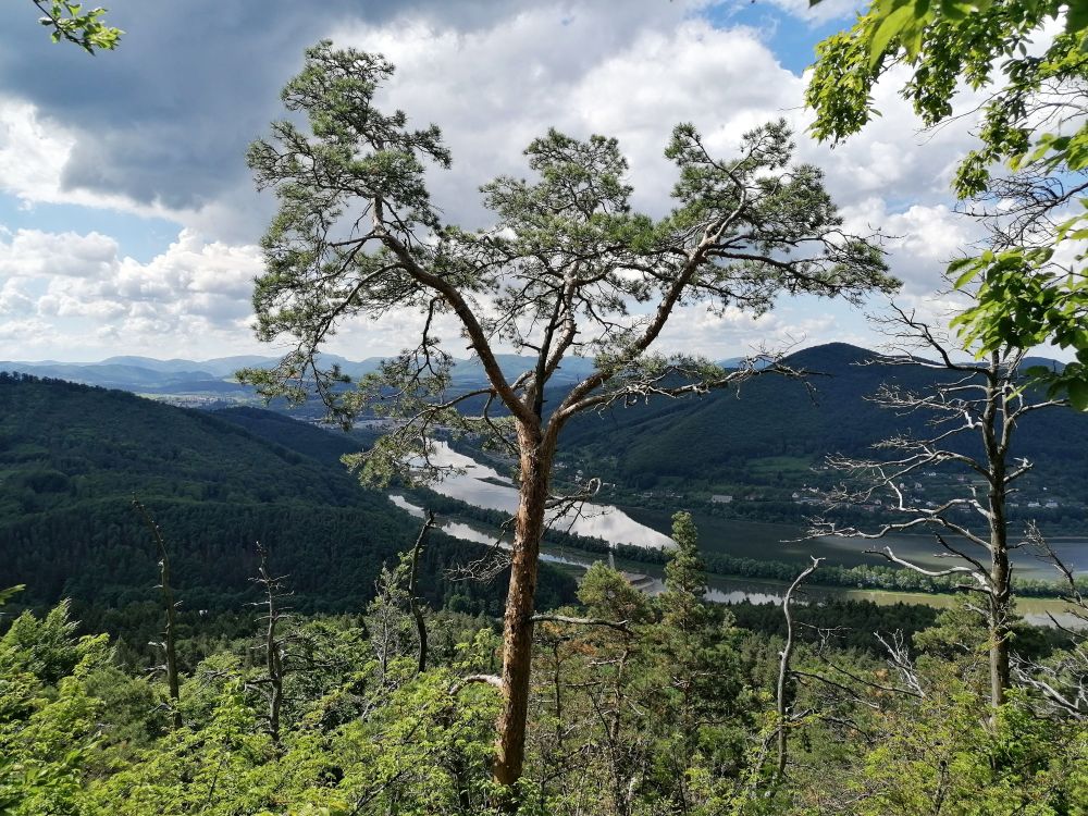 2025-05-24  Medvědáři na Súlově  W010