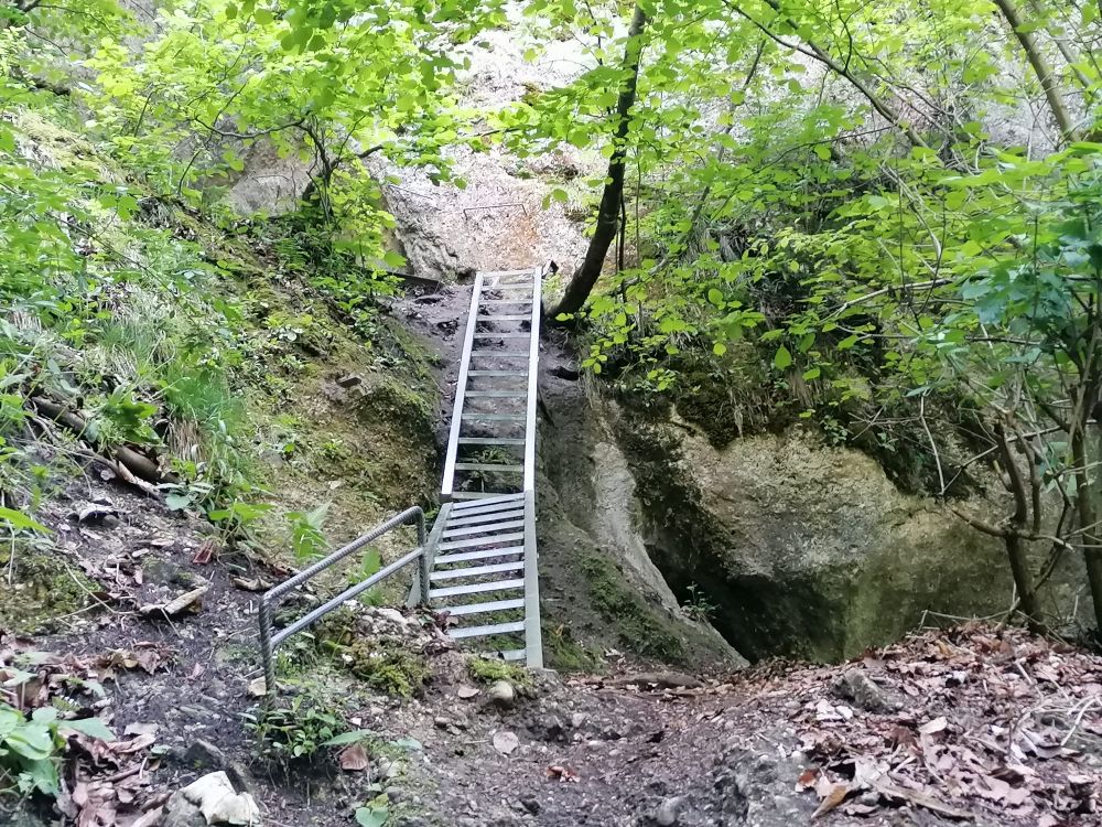 2025-05-25  Medvědáři na Súlově  W006