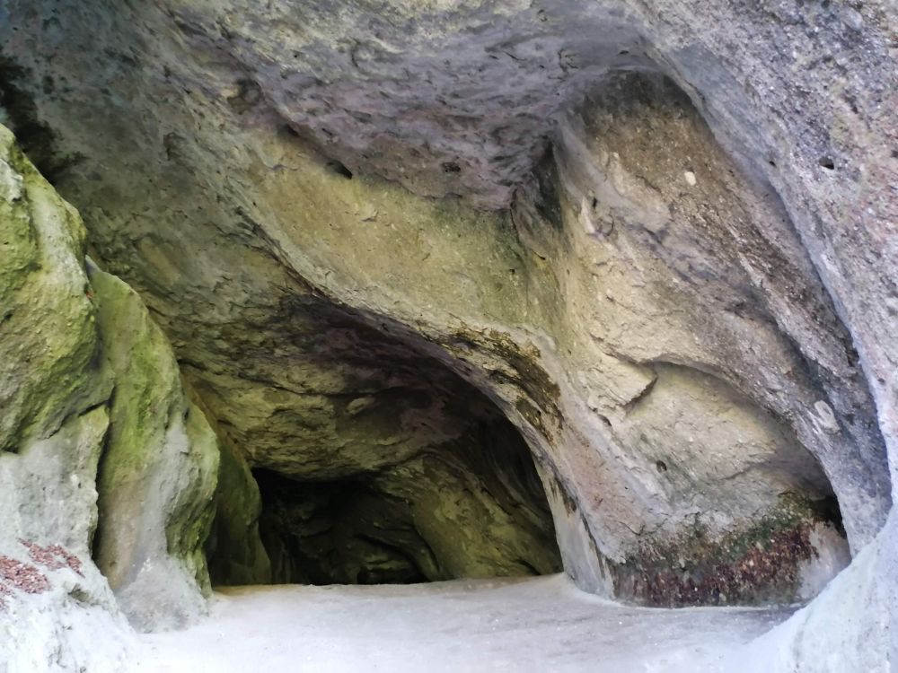 2025-05-25  Medvědáři na Súlově  W008