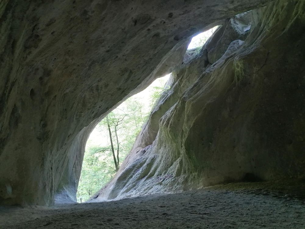 2025-05-25  Medvědáři na Súlově  W009