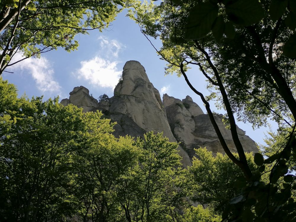 2025-05-25  Medvědáři na Súlově  W015