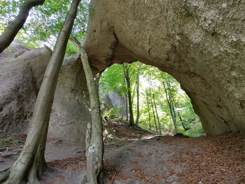 2025-05-25  Medvědáři na Súlově  W016