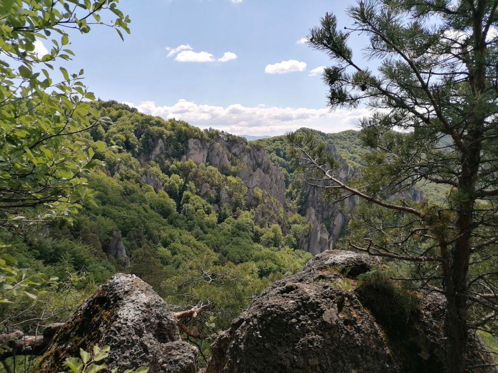 2025-05-25  Medvědáři na Súlově  W019