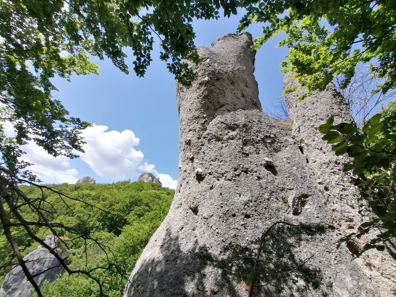 2025-05-25  Medvědáři na Súlově  W022