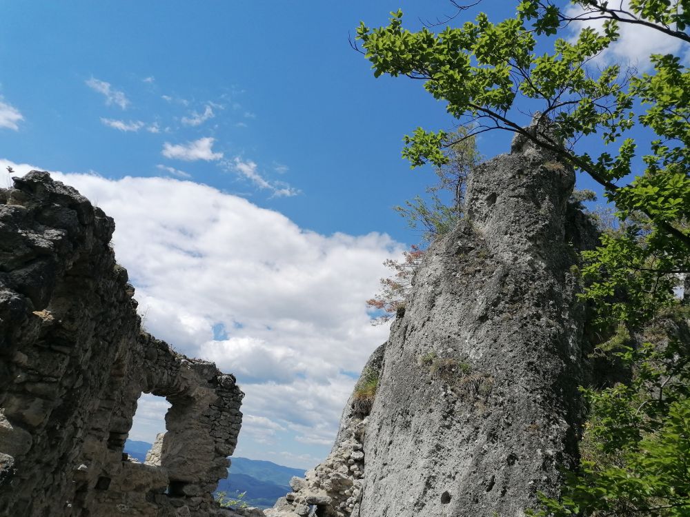 2025-05-25  Medvědáři na Súlově  W027