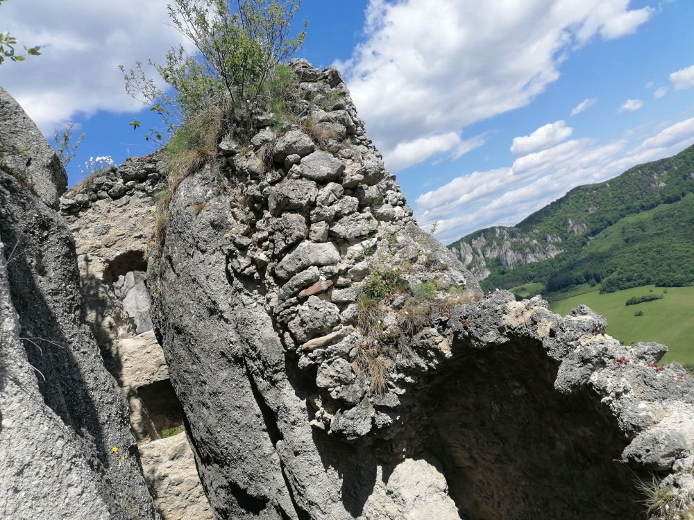 2025-05-25  Medvědáři na Súlově  W029