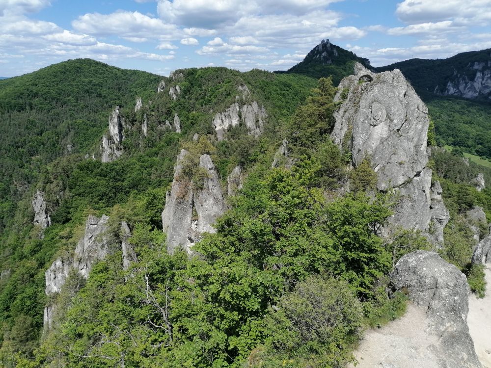 2025-05-25  Medvědáři na Súlově  W034