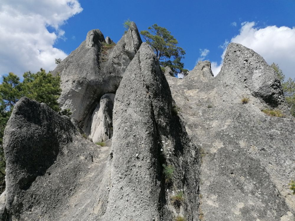 2025-05-25  Medvědáři na Súlově  W048