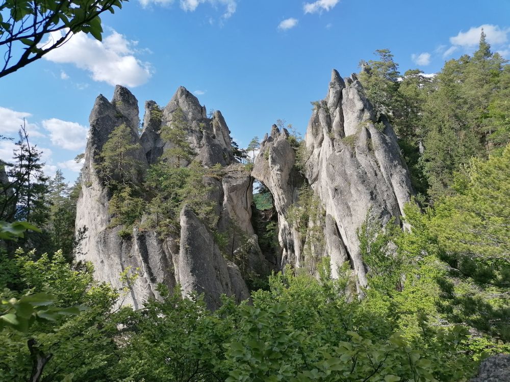 2025-05-25  Medvědáři na Súlově  W050
